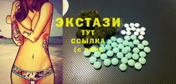 стаф Новозыбков