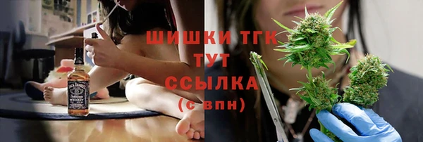 шишки Новокубанск