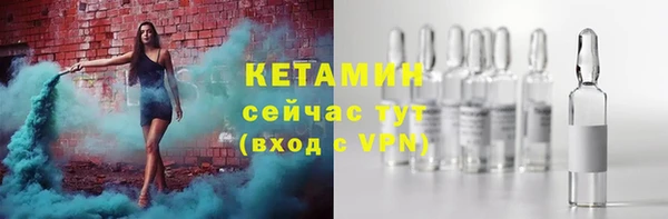 стаф Новозыбков