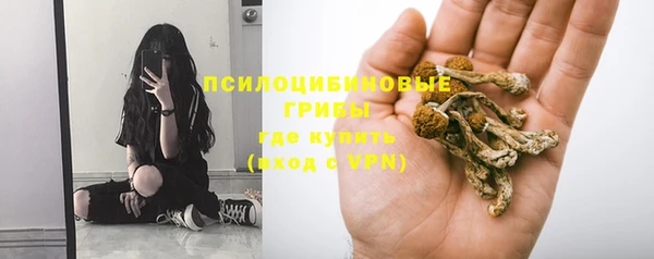 шишки Новокубанск