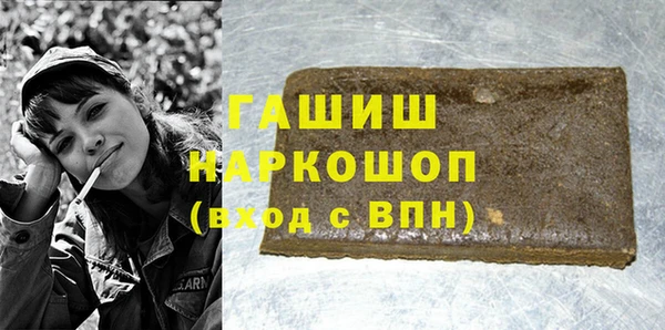 индика Няндома