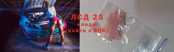 индика Няндома