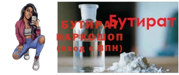 индика Няндома