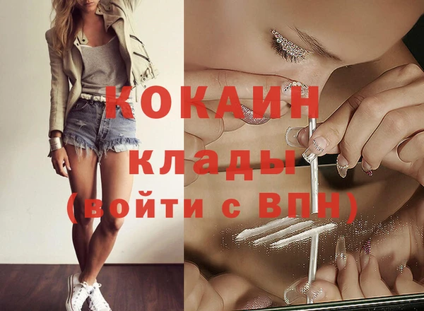 стаф Новозыбков