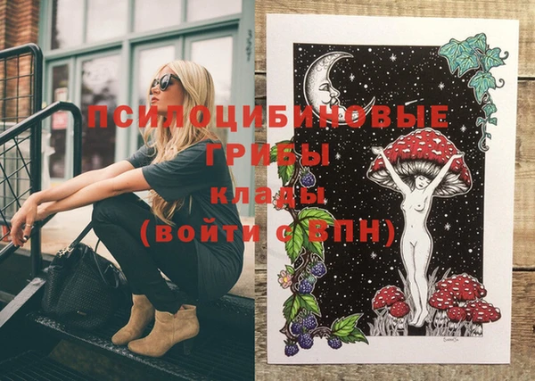 герыч Новодвинск