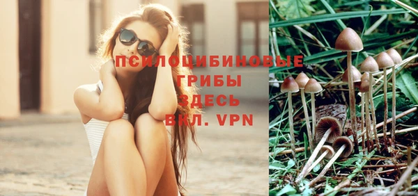 герыч Новодвинск