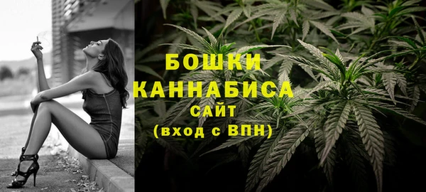 стаф Новозыбков