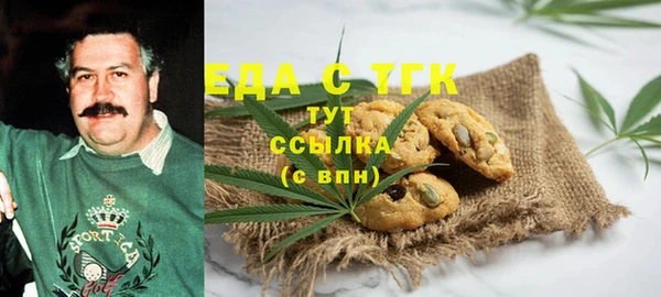 индика Няндома