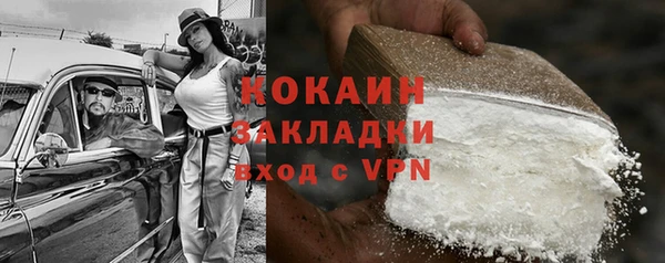 стаф Новозыбков