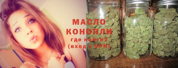 стаф Новозыбков