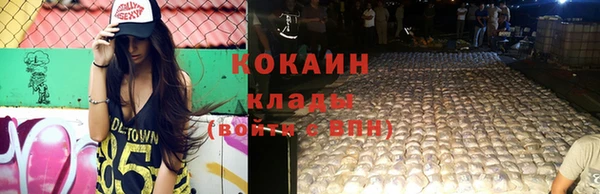 стаф Новозыбков
