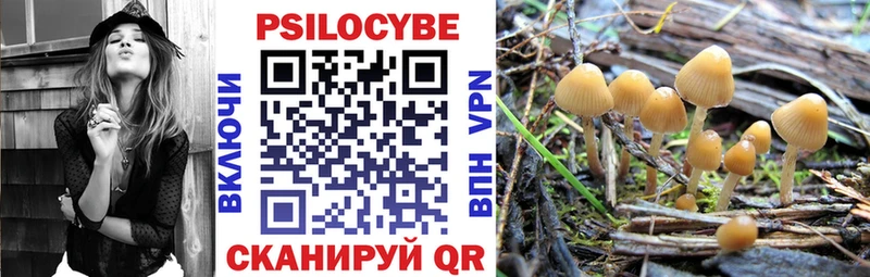 МЕГА ТОР  Покровск  Псилоцибиновые грибы GOLDEN TEACHER 